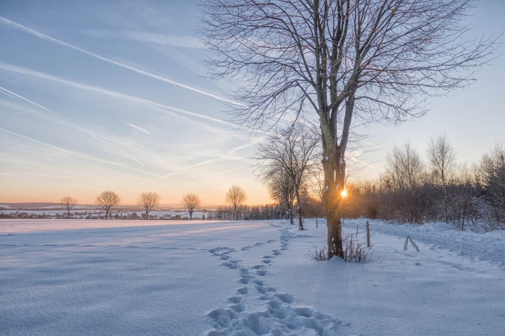 zonopkomst_bij_sneeuwlandschap_5883aaaf74685_large.jpeg