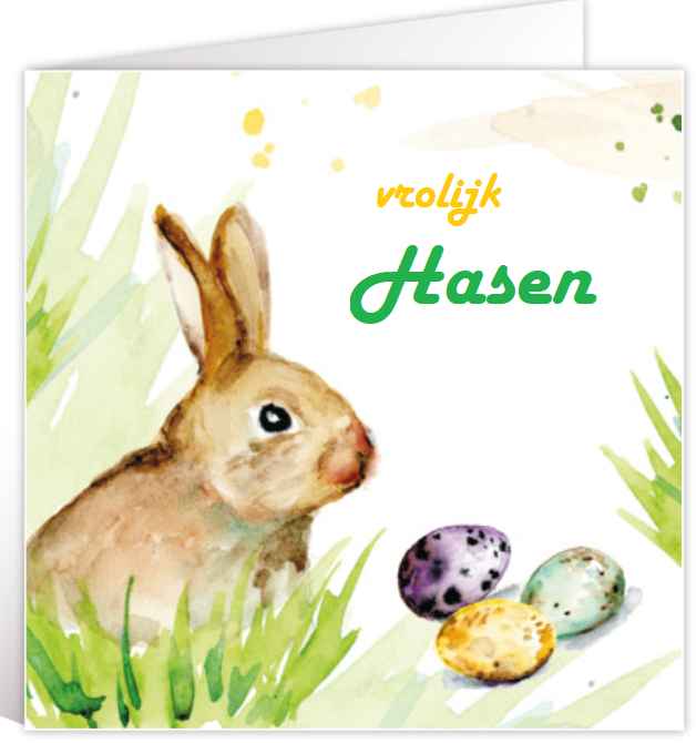 hasen